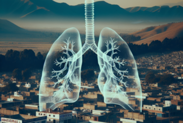 ¿Cuántas personas mueren por enfermedades respiratorias en México?